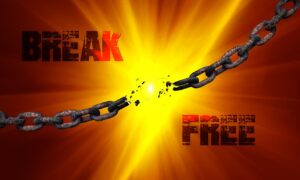 كيفية استخدام باك لينك Backlinks Duflo؟
