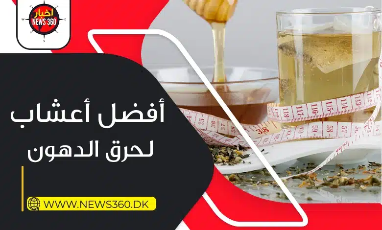 أفضل أعشاب لحرق دهون البطن 2024 أفضل أعشاب لحرق الدهون