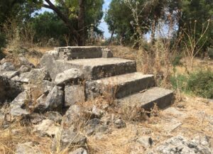 فلسطين زمن العصر الحجري القديم: