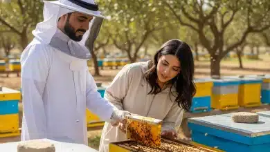 أفضل طرق تناول عسل النحل للحصول على فوائده الكاملة